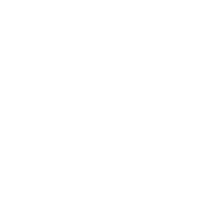 Discord Icon